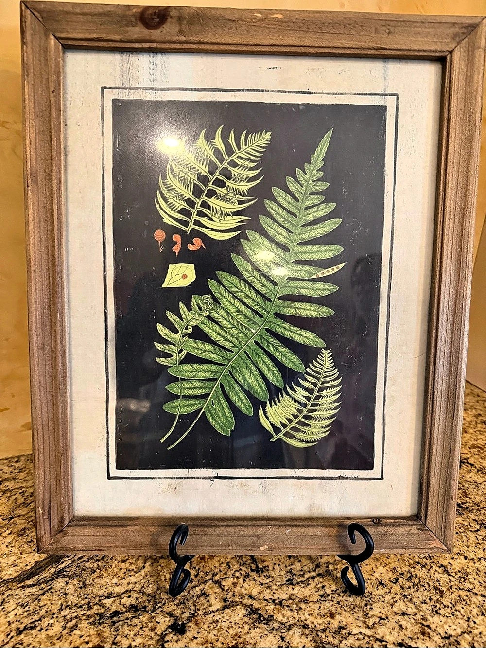K&K Interiors Framed Botanical Fern Art in Brown & Green